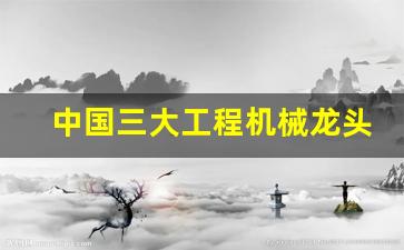 中国三大工程机械龙头企业排名(中国三大工程机械龙头企业排名榜)_https://www.shshucaipeisong.com_创业板_第1张