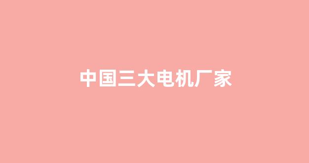 中国三大电机厂家(中国三大电机厂家排名)_https://www.hhem8.com_北交所_第1张