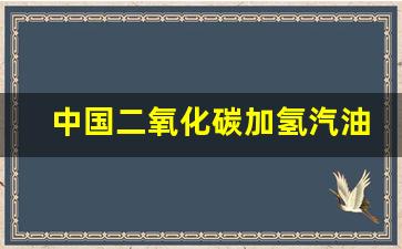 中海油二氧化碳加氢_中国二氧化碳加氢汽油价格