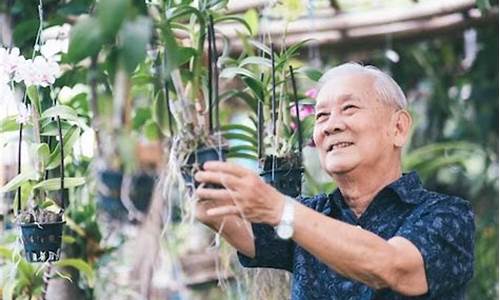 中国人去泰国养老的弊端(中国人去泰国养老的弊端分析)  第1张