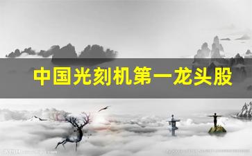 中国光刻机第一龙头股(中国光刻机第一龙头股冠世科技)_https://www.gzyhshgzzx.com_上期所_第1张