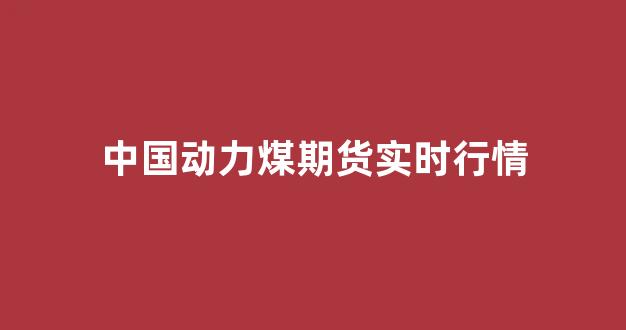 中国动力煤期货实时行情(中国动力煤期货实时行情查询)_https://www.gfdzclz.com_北交所_第1张
