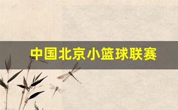 中国北京小篮球联赛-北京市小篮球