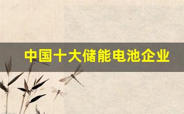 中国十大储能电池企业(储能电池行业前十大公司)_https://www.hangfeite.com_创业板_第1张