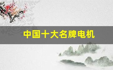 中国十大名牌电机(中国十大名牌电机金宇星)_https://www.hangfeite.com_深交所_第1张