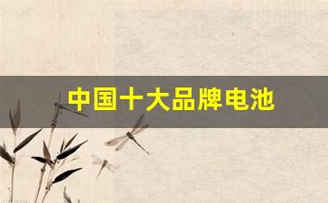 中国十大品牌电池(5号充电电池十大排名)_https://www.eamstsz.com_深交所_第1张