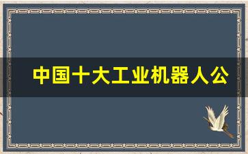 中国十大工业机器人公司排名(国产机器人十大品牌)_https://www.huakunhengjia.com_期货资讯_第1张