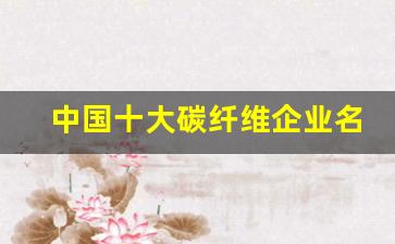 中国十大碳纤维企业名单(中国十大碳纤维企业名单公布)_https://www.haiwangdasha.com_大商所_第1张