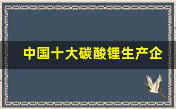 中国十大碳酸锂生产企业排名(碳酸锂生产厂家排名)_https://www.hangfeite.com_上交所_第1张