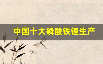 中国十大磷酸铁锂生产厂家(中国锂电池十大龙头企业)_https://www.brunchezvous.com_旅游景点_第1张