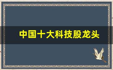 中国十大科技股龙头(中国十大科技股龙头股排名)_https://www.qldgs.com_内盘期货_第1张