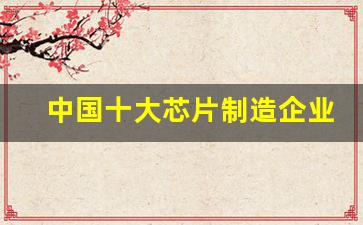中国十大芯片制造企业(中国十大芯片制造商)_https://www.hangfeite.com_深交所_第1张