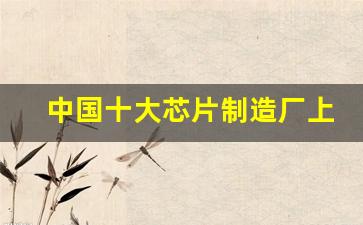 中国十大芯片制造厂上市公司排名(中国芯片制造上市企业排名)_https://www.wanyuyiyao.com_上交所_第1张