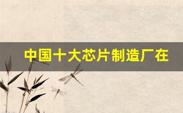 中国十大芯片制造厂在哪个城市(中国的芯片公司排名)_https://www.hangfeite.com_创业板_第1张