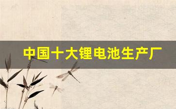 中国十大锂电池生产厂家在哪里(中国锂电池厂家排名)_https://www.hangfeite.com_创业板_第1张