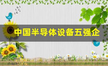 中国半导体设备五强企业2021(中国半导体设备企业排名)_https://www.gzyhshgzzx.com_上期所_第1张