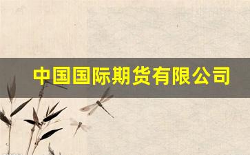 中国国际期货有限公司(中国国际期货有限公司董事长)_https://www.hn-life.com_创业板_第1张
