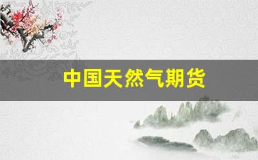 中国天然气期货(中国天然气期货供应链)_https://www.jnskb.com_装修公司_第1张