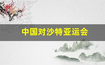 中国对沙特亚运会-中国对沙特的比赛