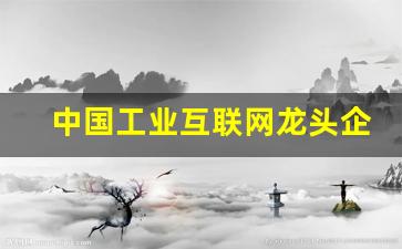 中国工业互联网龙头企业排名(工业互联网行业龙头)_https://www.kairu168.com_郑商所_第1张