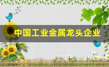 中国工业金属龙头企业股票(中国工业金属龙头企业股票有哪些)_https://www.nalian8.com_北交所_第1张