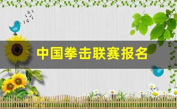 中国拳击联赛报名-拳击联赛报名海报
