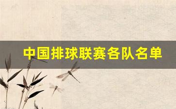 中国排球联赛各队名单-中国排球联赛各队名单表