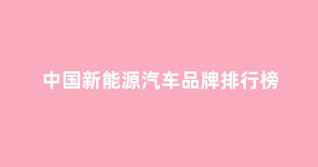中国新能源汽车品牌排行榜(中国新能源汽车品牌排行榜前十名)_https://www.hhem8.com_上交所_第1张