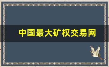中国最大矿权交易网(中国最大矿权交易网app)_https://www.jumanxin.com_创业板_第1张