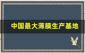 中国最大薄膜生产基地(中国最大薄膜生产基地是哪里)_https://www.nalian8.com_创业板_第1张
