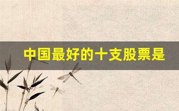中国最好的十支股票是什么(2021年中国最好的股票)_https://www.gdbxwh.com_抖音快手_第1张