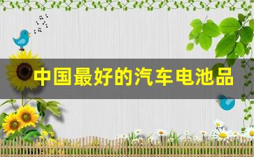 中国最好的汽车电池品牌(中国最好的汽车电池品牌排名)_https://www.nalian8.com_深交所_第1张