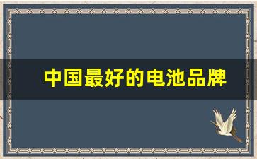 中国最好的电池品牌(中国最好的电池品牌排名)_https://www.hangfeite.com_创业板_第1张
