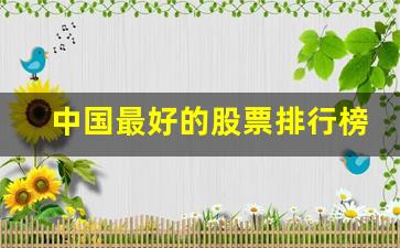 中国最好的股票排行榜(中国最好的股票排行榜)_https://www.syklpowerbike.com_科创板_第1张