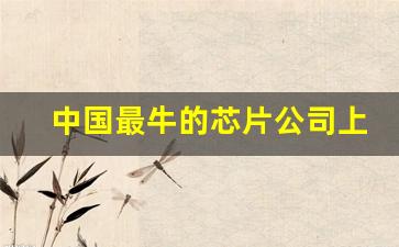 中国最牛的芯片公司上市公司排名(中国最牛芯片制造上市公司)_https://www.dcjwmf.com_上期所_第1张