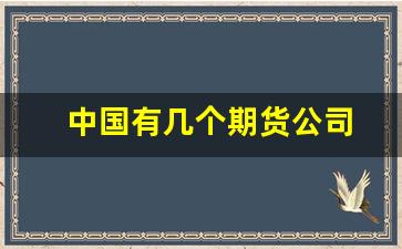 中国有几个期货公司(中国有几个期货公司名称)_https://www.wguangz.com_大商所_第1张