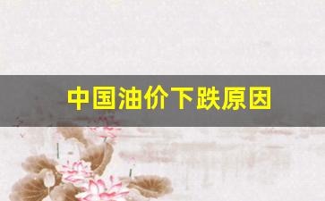中国油价下跌原因-中国油价下跌原因有哪些