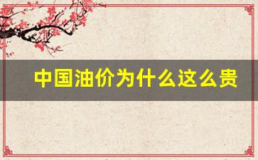 中国油价为什么这么贵呀-我国油价为什么这么贵