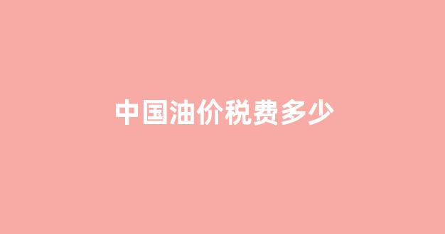 中国油价税费多少钱一公斤_中国油价税费多少