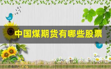 中国煤期货有哪些股票行情_https://www.haiwangdasha.com_大商所_第1张