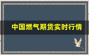 中国燃气期货实时行情网(中国燃气期货实时行情网)_https://www.haiwangdasha.com_中金所_第1张