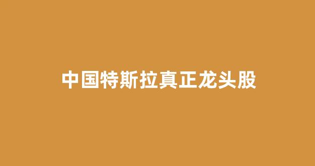 中国特斯拉真正龙头股(中国特斯拉龙头股票)_https://www.gfdzclz.com_科创板_第1张