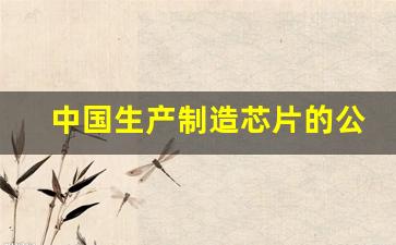 中国生产制造芯片的公司(生产制造类公司)_https://www.brunchezvous.com_旅游景点_第1张