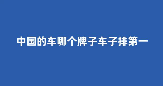 中国的车哪个牌子车子排第一(中国的车排名)_https://www.eamstsz.com_科创板_第1张