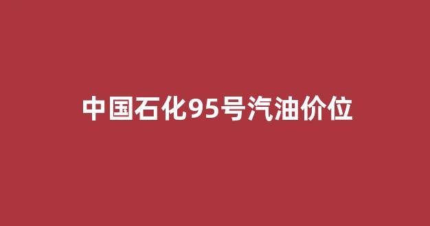 中国石化汽油95价格_中国石化95号汽油价位