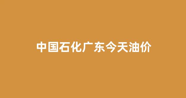 中国石化广东石油价格_中国石化广东今天油价