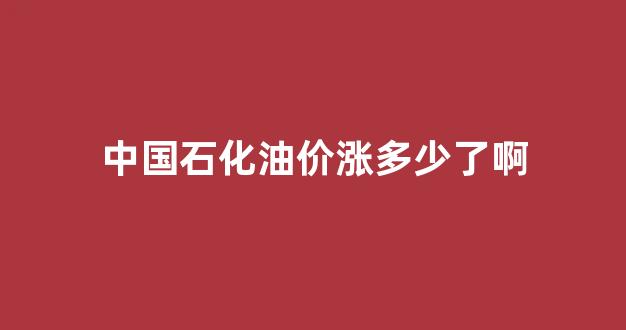 中国石化油价涨多少了啊今天_中国石化油价涨多少了啊