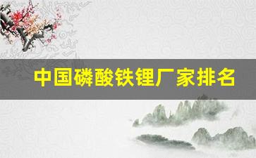 中国磷酸铁锂厂家排名(国内磷酸铁锂厂家)_https://www.jianghaiboli.com_期货_第1张