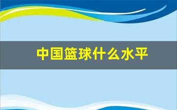 中国篮球什么水平最高-中国篮球什么水平
