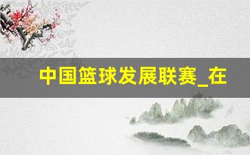 中国篮球发展联赛_在宁夏-宁夏篮球协会官
